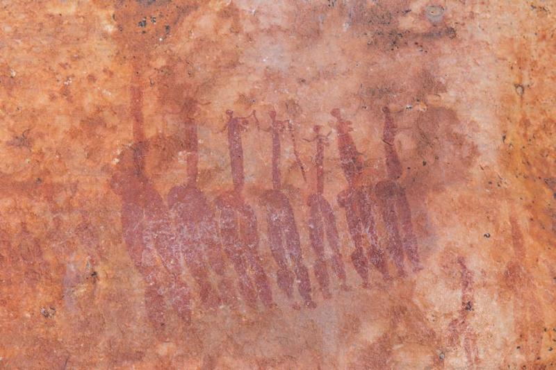 Bild