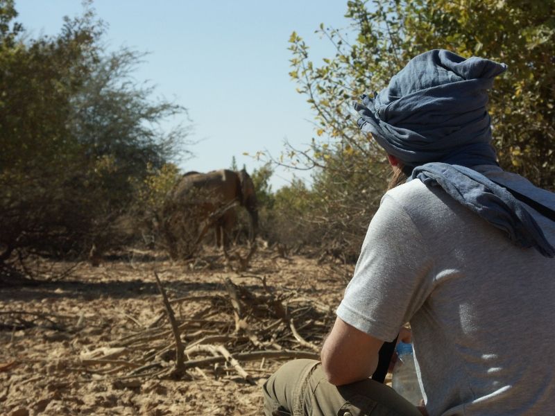 Bild
