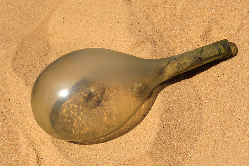 Bild
