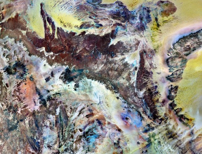Bild