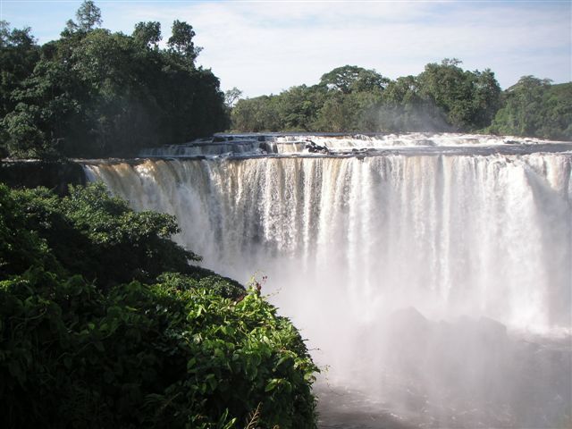 Bild