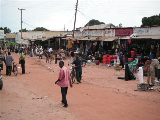 Bild
